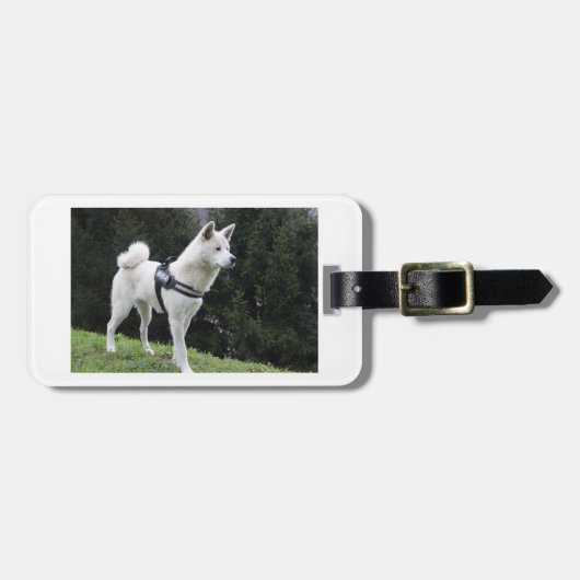 akita witte kleuren bagagelabel (Voorkant horizontaal)