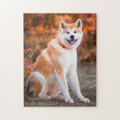 Akita-zitting Legpuzzel (Verticaal)
