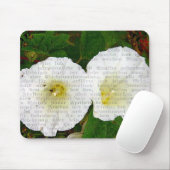 Akkerwinde Muismat (Met muis)