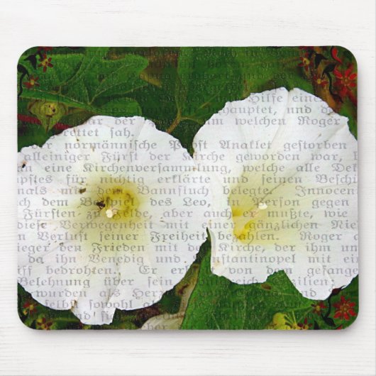 Akkerwinde Muismat (Voorkant)