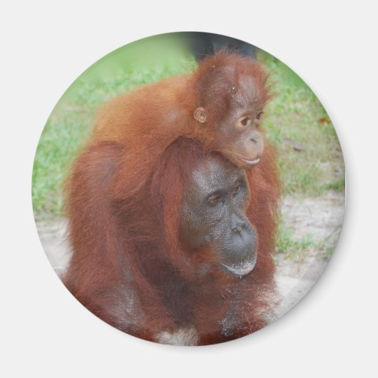 Akmad en Baby Boy Magneet (Voorkant)