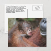 Akmad's nieuwe babyzoon in Camp Leakey Aankondigingskaart (Voorkant / Achterkant)