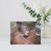 Akmad's nieuwe babyzoon in Camp Leakey Aankondigingskaart (Staand voorkant)