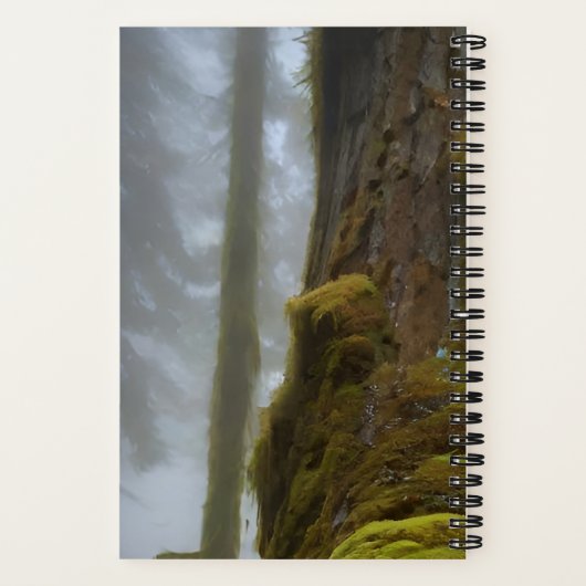 Akoestische gitaar songwriter Foggy Forest Music Notitieboek (Achterkant)