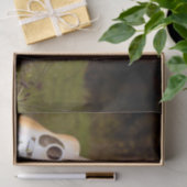 akoestische gitaar tegen boom tissuepapier (Geschenk)