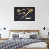 akoestische instrumenten cornets canvas afdruk (Insitu (Slaapkamer))