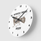 Akoestische trommels binnenin (anatomie van de men ronde klok (Hoek)