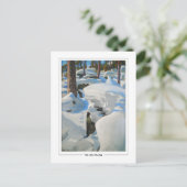 Akseli Gallen-Kallela #385 - Kunstkaart Briefkaart (Staand voorkant)