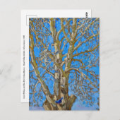 Akseli Gallen-Kallela - Crack Willow en Blue Bird Briefkaart (Voorkant / Achterkant)