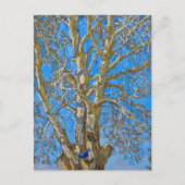 Akseli Gallen-Kallela - Crack Willow en Blue Bird Briefkaart (Voorkant)