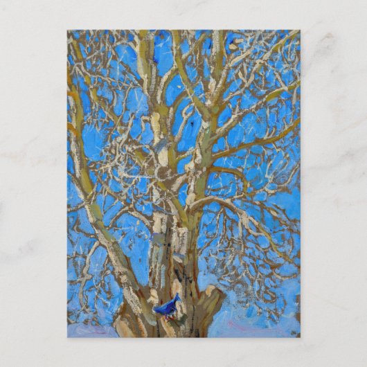 Akseli Gallen-Kallela - Crack Willow en Blue Bird Briefkaart (Voorkant)
