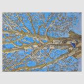 Akseli Gallen-Kallela - Crack Willow en Blue Bird Tissuepapier (Voorkant)