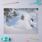 Akseli Gallen-Kallela - Februari Visie Tissuepapier (Craft)