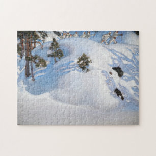 Akseli Gallen-Kallela - Februari Vision Legpuzzel