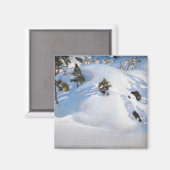 Akseli Gallen-Kallela - Februari Vision Magneet (Voorkant / Achterkant)