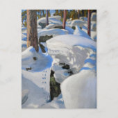 Akseli Gallen-Kallela - Hol van de lynx Briefkaart (Voorkant)