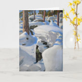 Akseli Gallen-Kallela - Lair of the Lynx Kaart (Gele Bloem)