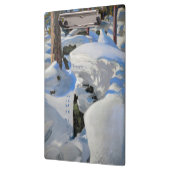 Akseli Gallen-Kallela - Lair of the Lynx Klembord (Links)