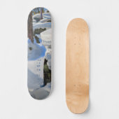 Akseli Gallen-Kallela - Lair of the Lynx Persoonlijk Skateboard (Voorkant)