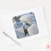 Akseli Gallen-Kallela - Lair of the Lynx Vierkante Sticker (Envelop)