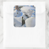 Akseli Gallen-Kallela - Lair of the Lynx Vierkante Sticker (Tas)