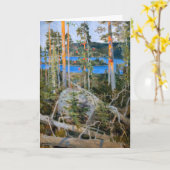 Akseli Gallen-Kallela - Meer in de natuur Kaart (Gele Bloem)