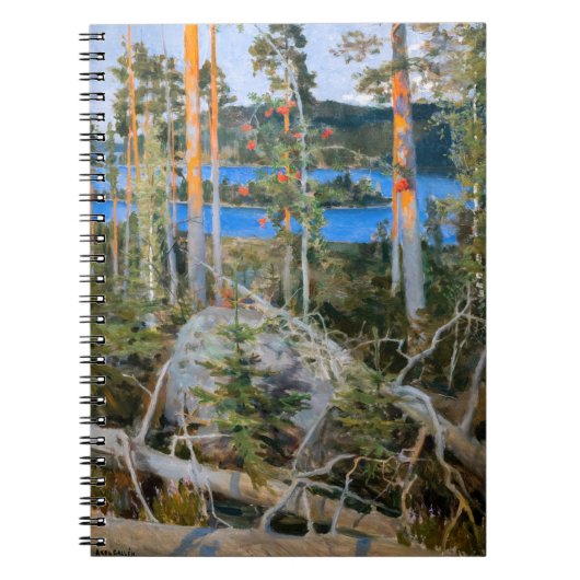 Akseli Gallen-Kallela - Meer in de natuur Notitieboek (Voorkant)