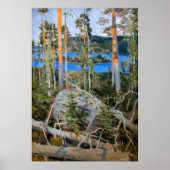 Akseli Gallen-Kallela - Meer in de natuur Poster (Voorkant)