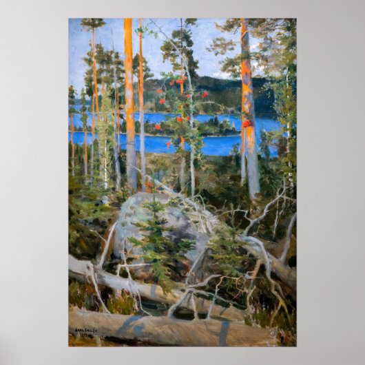 Akseli Gallen-Kallela - Meer in de natuur Poster (Voorkant)