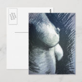 Akt, Frau Briefkaart (Voorkant / Achterkant)