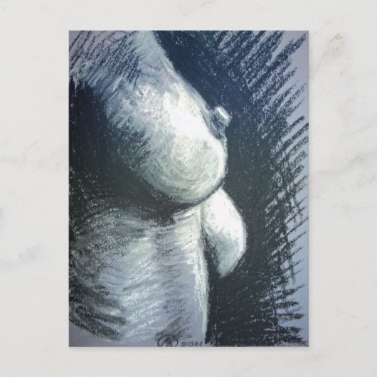 Akt, Frau Briefkaart (Voorkant)