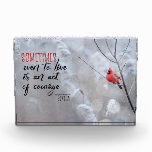 Akte van Courage Fotoblokken (Voorkant)