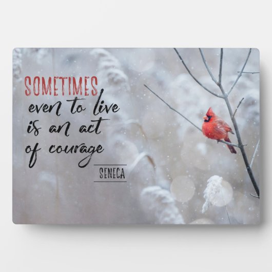 Akte van Courage Fotoplaat (voorkant)