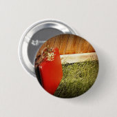 aktetas ronde button 5,7 cm (Voorkant /achterkant)