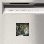 Akun Island Columnar Basalt Cave Magneet (Insitu (Vaatwasser))