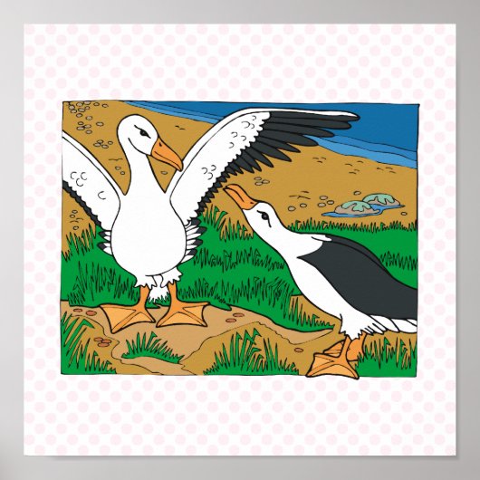 Al & Ally Albatross Poster (Voorkant)