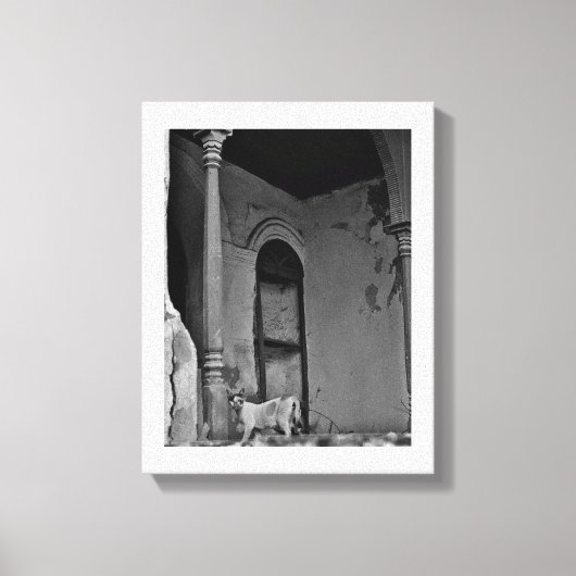 Al Balad Cat Canvas Afdruk (Voorkant)