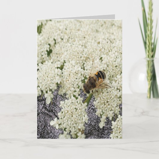 Al Gelegenheid Koningin Annes Lace Black Leather Bedankkaart (Voorkant)