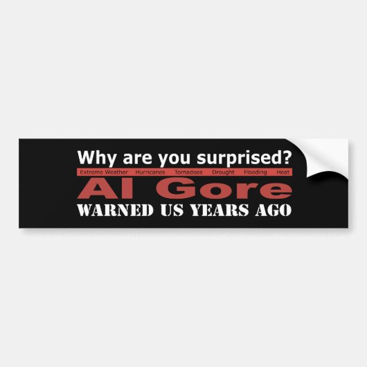 Al Gore waarschuwde ons Bumpersticker (Voorkant)