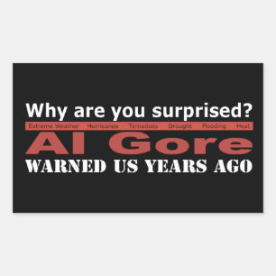 Al Gore waarschuwde ons Rechthoekige Sticker