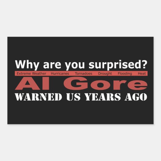 Al Gore waarschuwde ons Rechthoekige Sticker (Voorkant)