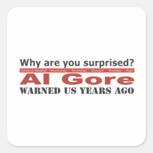 Al Gore waarschuwde ons Vierkante Sticker