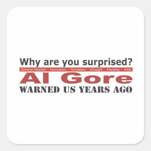Al Gore waarschuwde ons Vierkante Sticker (Voorkant)