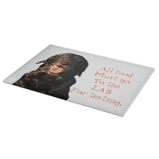 Al het voedsel moet naar het glazen snijbord van L Snijplank (Hoek)