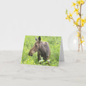 Al Kaart van de Amerikaanse elanden van de (Gele Bloem)