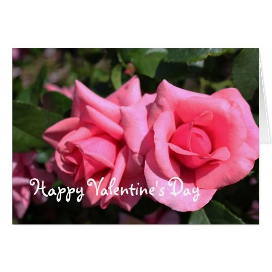 Al vaak warm roze roos, voeg uw foto, tekst toe (Voorkant Horizontaal)