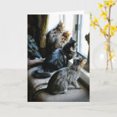 Al Wenskaart van de Gelegenheid - Katten bij Kaart (Gele Bloem)