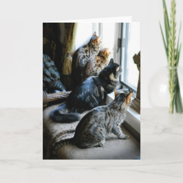 Al Wenskaart van de Gelegenheid - Katten bij Kaart