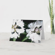 Al Wenskaart van de Gelegenheid (Spatie binnen)