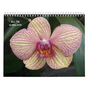 Al zijn glorie...2010 kalender